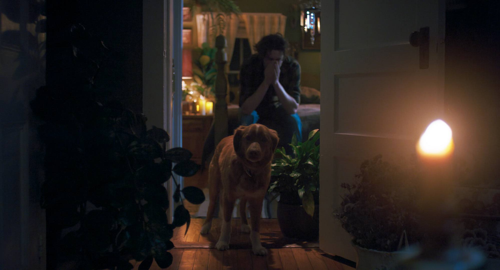 映画『GOOD BOY』飼い主トッドとインディが暗い室内にいるシーン
