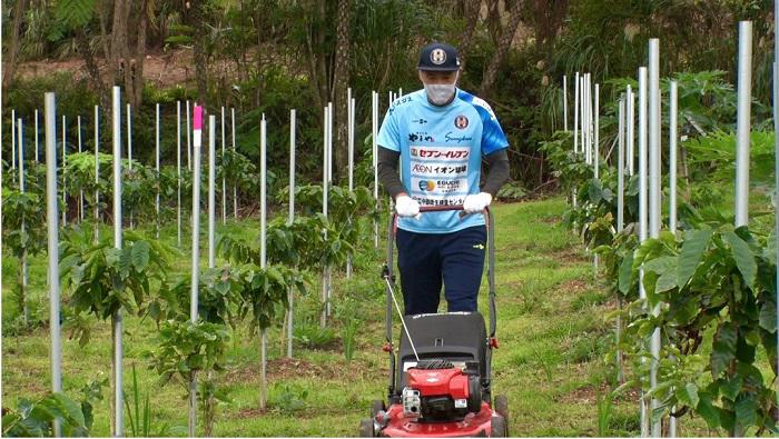 コーヒー農園で除草作業を行う高原直泰