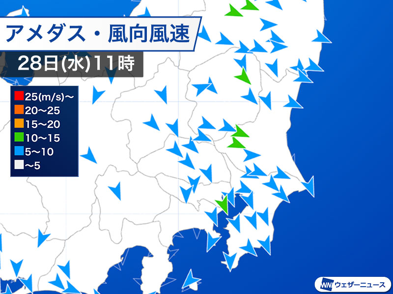 2026年10月28日11時の関東地方アメダス風向風速図、北よりの強い風を示す矢印