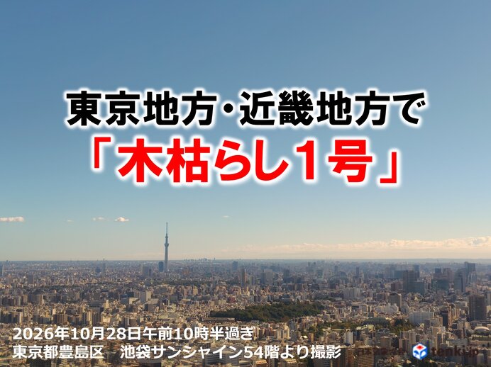 池袋サンシャイン54階から見た東京の街並み、木枯らし1号発表を伝える2026年10月28日のニュース画像